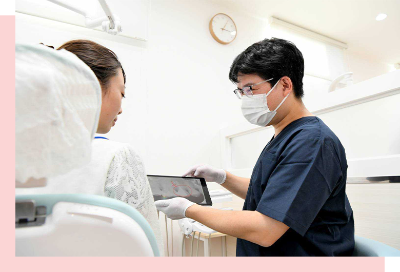 模型を使った説明